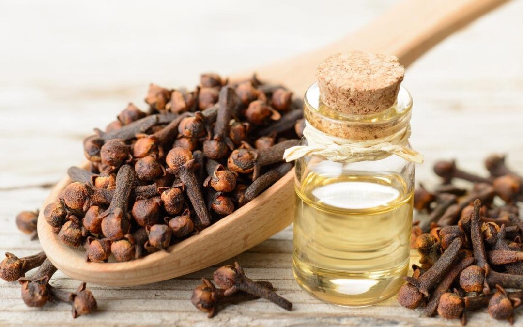 فوائد القرنفل للشعر اكتشفي سر جمال شعرك